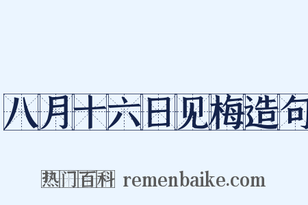 八月十六日见梅造句是什么意思的图片
